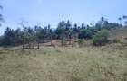 90 ac Land at Ridge - 6