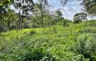 Residential Land at Westlands - 3