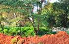 Residential Land at Karen - 6