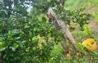 Land in Kilifi - 2