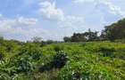 20 ac Land at Muthaiga North Road - 7