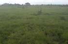 0.1 ac Residential Land in Ongata Rongai - 11