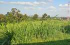 0.134 ac Residential Land at Migaa Golf Estates - 6