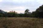 9 ac Land at Ithanga - 14