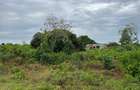 10 ac Land in Vipingo - 8