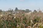 Residential Land in Kiambu Town - 1