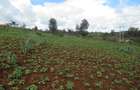 4.5 ac Land at Kibiko - 4