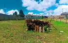 500 m² Residential Land at Rosegate 2A Estate - 7