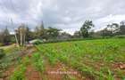 0.5 ac Land in Ridgeways - 3