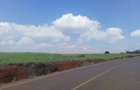 5 ac Land at Near Tatu City - 6