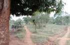 9 ac Land at Ithanga - 7