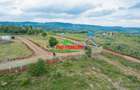 0.05 ha Residential Land in Kikuyu Town - 11