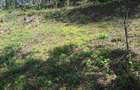 0.25 ac Residential Land in Ngong - 2
