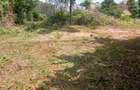 400 ac Land at Kilimani - 1