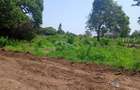 0.25 ac Residential Land at Muhaka - 5