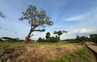 0.12 ac Land at Migaa Golf Estate - 2