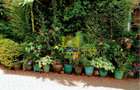 3 Bed Apartment in Parklands - 5