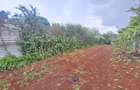 Residential Land at Runda Grove - 12