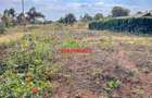 0.125 ac Residential Land in Kamangu - 3