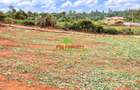 0.05 ha Residential Land at Ondiri - 6