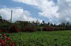 0.113 ac Land in Ngong - 1