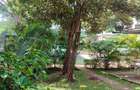 600 ft² Commercial Property with Fibre Internet at Westlands - 7
