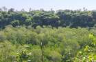 Land in Kilifi County - 13
