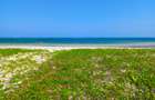 3.5 m² Land at Galu Kinondo Beach - 6