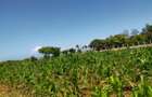 Land in Kilifi County - 11