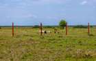 0.115 ac Land in Nanyuki - 4