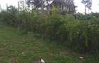 0.25 ac Land in Ongata Rongai - 6