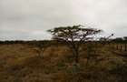 Land at Off Kiserian-Isinya Rd - 3