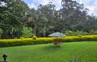 3 Bed Apartment with En Suite at Peponi Road - 2