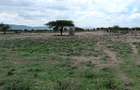 5,000 ft² Residential Land at Tinga - 2