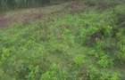 0.113 ac Land in Ngong - 11