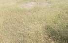 Land in Athi River - 4