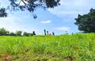 23 ac Land at Kiambu - 4