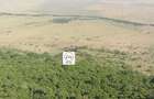 20 ac Land at Masai Mara Game Reserve - 2