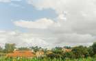 1,000 m² Residential Land at Riu-Nderi - 13