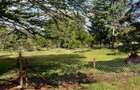 0.25 ac Residential Land at Ngong Town - 2
