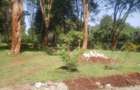 0.5 ac Land in Karen - 1