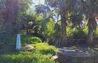 3 Bed House in Shanzu - 16