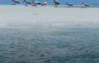 0.126 ac Land at Funzi Island Land For Sale - 13