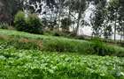 Residential Land at Kabuku Near St Paul University - 10