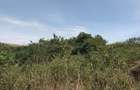 139 ac Land in Naivasha - 5