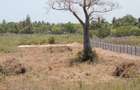 0.125 ac Land in Diani - 3