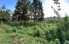 Land in Tigoni - 5