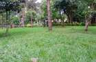 6 ac Land at Karen - 1