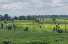 420 ac Land at Kiambu - 1
