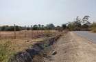 Commercial Land at Ololua Road - 13